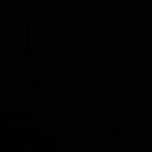 Meet your Posher, Macy